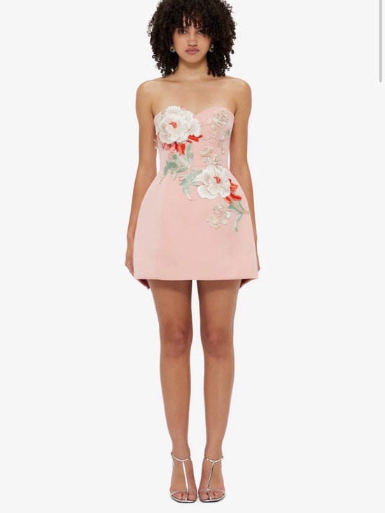 Leo Lin Dresses & Skirts - Strapless Pink Floral Appliqué Mini Dress